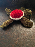 Baby Sea Turtle Red & Cream Shell