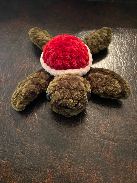 Baby Sea Turtle Red & Cream Shell